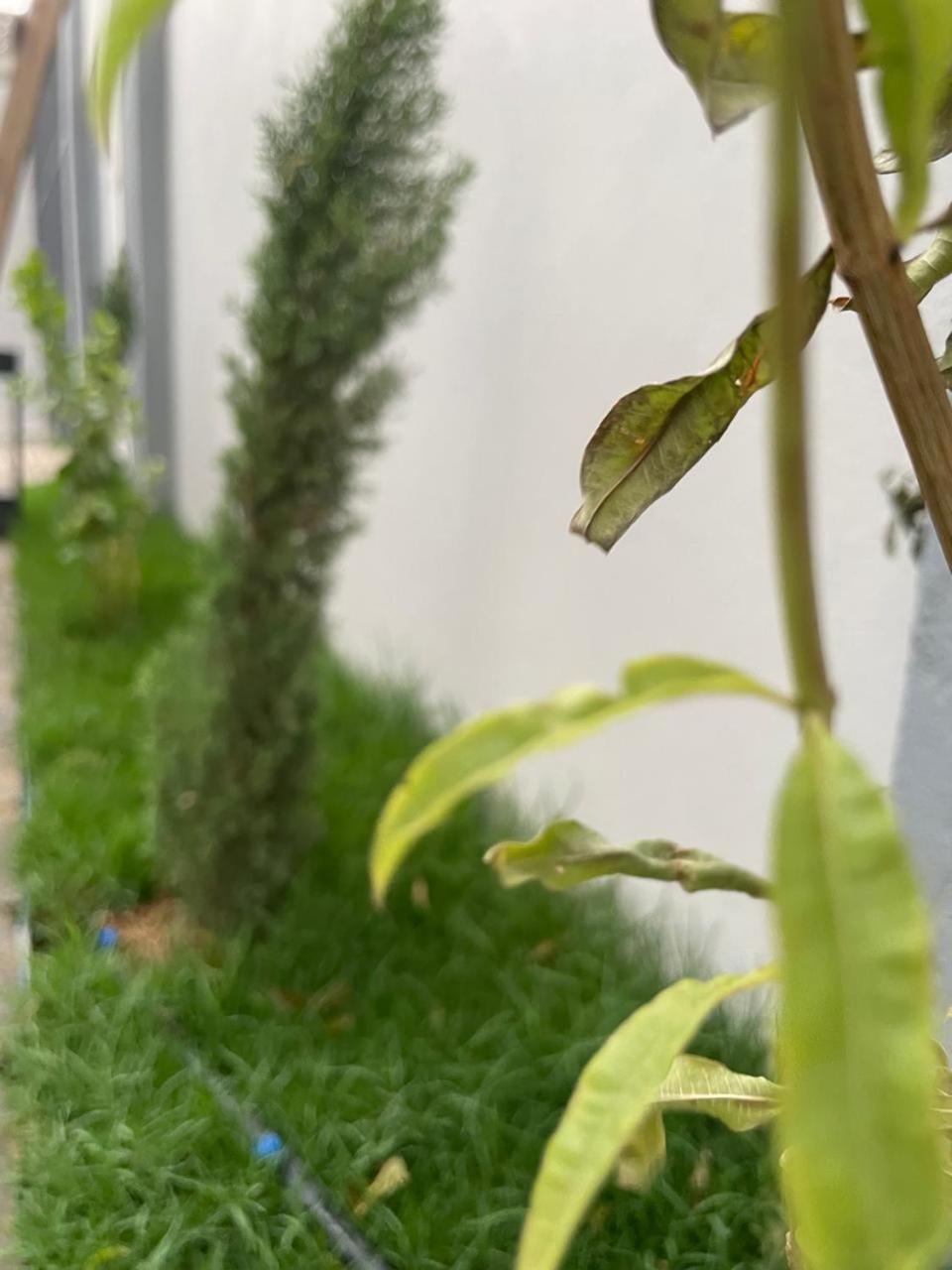Garden Land Aparthotel Khamis Mushait Exterior foto